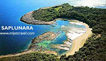 Saplunara