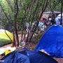 Camping on Island of Mljet
